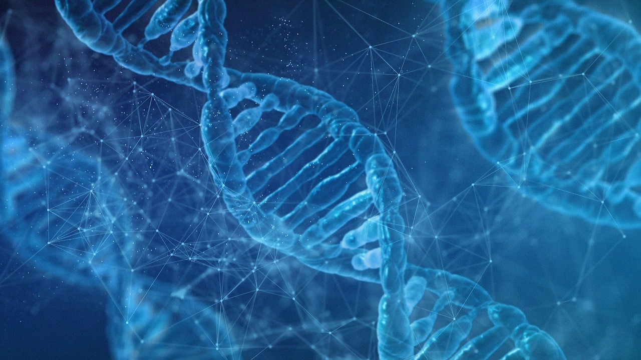 DNA helix.